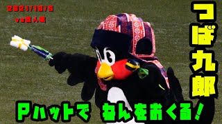 つば九郎　パイロットハットでねんをおくる　2021/10/5　読売ジャイアンツ