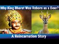 Why King Bharat Was Reborn as a Deer? Reincarnation Story, Jay Lakhani