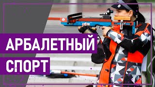 Вот это спорт! АРБАЛЕТНЫЙ СПОРТ