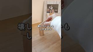 【子連れ再婚】立ちはだかる不安の壁#再婚 #再婚夫婦 #子連れ再婚 #夫婦 #シングルマザー #シンママ #養子縁組 #しんゆみ再婚夫婦#ステップファミリー