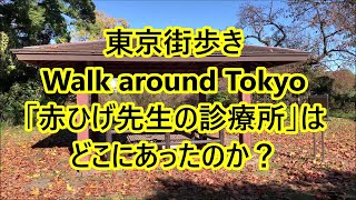 日本街歩き【東京】赤ひげ先生の診療所があった「小石川植物園」を散策する