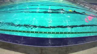 Kyiv Freediving Cup 2015: DYN Maria Olshevskaya 100 m