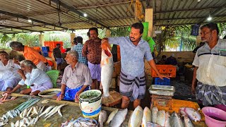 🦐🦀🦑All sea foods available at Muthupettai fish market//Machines planet