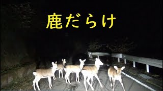 【田口峠(長野県道93号)】長野県佐久市 (2018.10.27)