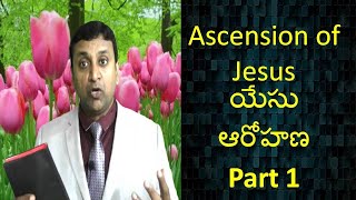 126. Ascension of Jesus యేసు ఆరోహణ Part 1