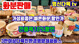 화분판매 전품목10%할인 010 4499 2456 5만이상무료배송 3만이상다육친환경영양제써비스 주문은 문자로주세요