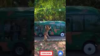 A tiger got into a tourist vehicle and stopped Video #shorts #shortvideo #tiger #tigerattack #animal