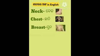 ଶରୀର ଅଙ୍ଗ ର ନାମ ଇଂରାଜୀ ରେ#odia#easyenglish #odiatoenglish