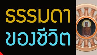 ไม่มีใครไม่ถูกนินทา มันเป็นธรรมดาของชีวิต , สร้างกรรมดีด้วยการเจริญสติ และละอกุศลทั้งปวง