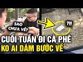 Đang ngồi cafe thì TRỜI MƯA TO, nhóm thanh niên KHÔNG AI DÁM VỀ vì lý do SỐNG CÒN | Tin 3 Phút