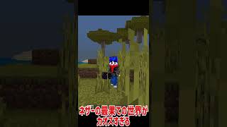 【マイクラ】ネザーの最果ての世界（ファーランド）がカオスすぎるｗｗｗ#shorts