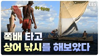 성인 남성 2명이 쪽배 타고 상어 낚시를 할 수 있을까? 배조족은 할 수 있다! 가족들을 위해 2~3일동안 바다 위에서 밤을 새는 사람들