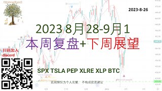 bigtreesignal美股信号：周末复盘和下周展望 SPX TSLA PEP XLRE XLP BTC   (Aug 26)