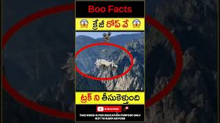 😱వామ్మో! రోప్ వే😱 truck lifting rope way #shorts #youtubeshorts #boo #facts #tech #ropeway #lifting