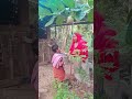 വടി കൊടുത്തു അടി വാങ്ങിച്ചു 🤣🤣🤣🤣🤣🤣🤣🤣 comedy funny