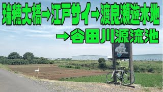 ｻｲｸﾘﾝｸﾞ  瑞穂大橋(江戸サイ)→渡良瀬遊水地→谷田川水源地(走行日2022.6.28 107㎞）