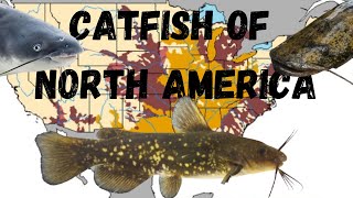 The Catfish Species of North America: An Identification Guide With Range Maps