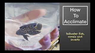 How To Acclimate