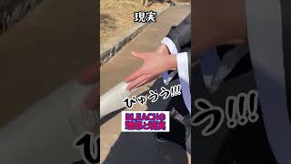 BLEACHの理想と現実【日番谷冬獅郎】