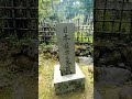 日本最古の茶園栂尾高山寺