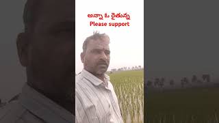 అన్నా ఓ రైతున్న #shorts #farmer #faming #agriculture