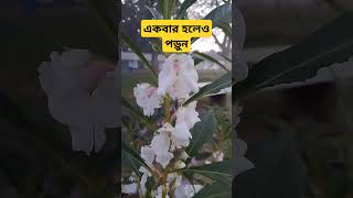 একবার হলেও পড়ুন #shorts #viralvideo #feedshorts