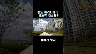 50% 폭락했던 송도아파트 알고보니 이렇습니다 #shorts