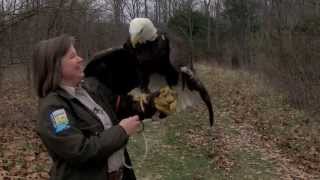 Hardy Lake | Indiana DNR