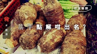 【當造芋頭】一個值十幾萬？ 茘芋鬆化好味 鄉下原來喺呢度