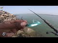 അമ്പതിനായിരം രൂപയുടെ fishing reel review shimano calcutta conquest dc 201 review by tackle tips