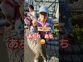 【あちち】大阪名物のタコ焼きをイッキに食べて大変な事になったタイ人の彼女　 たこ焼き 　 大阪観光