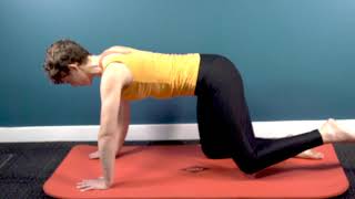 How to perform the bird dog stretch for back pain