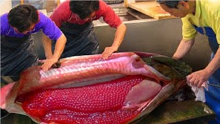 The Most Expensive Food In The World | Beluga Caviar | salmon roe