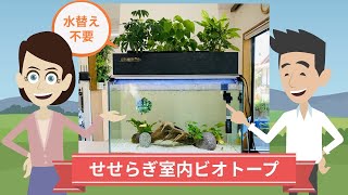 【2020グッドアクアリウムデザイン賞】せせらぎ室内ビオトープ