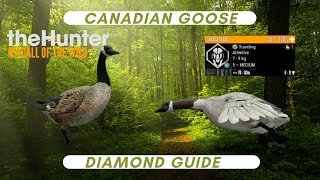 How to get a MASSIVE diamond Canada Goose on COTW!