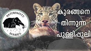 Documentary No.05 - '(കാടിന്റെ) കാവൽക്കാരനെ പുലി പിടിച്ചു !!! #huntingstoriesmalayalam #leopard