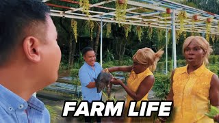 FARM LIFE// SOBRANG GANDA NG FARM…