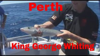 King George Whiting and Perth Dhufish Part 2 , Fishing WA Series 4 Ep 16 Part 2