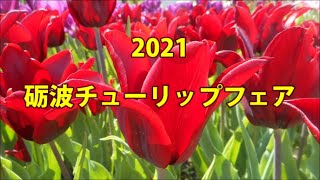 2021砺波チューリップフェア