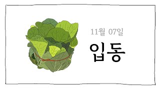 입동의 따듯한 나눔, 치계미🐓 | 11월 7일 입동 | 배추 묶어주기 | 도랑탕