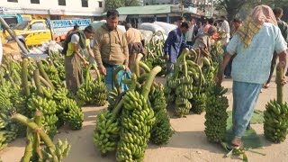 পাহাড়ি কলার বাজার||Hill market in Khagrachhari