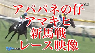 10/27 東京5R 2歳新馬 レース結果【アマキヒ】