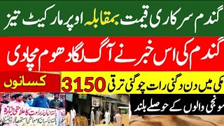 گندم اور گنے کی امدادی قیمت  Wheat price in punjab/گندم  کا ریٹ 2024/ makki till /Gallasuper munji