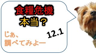 食糧危機はいつから？本当なの？調べてみよーっと。備蓄の準備にご活用ください。12月1日調べ。