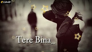 Tere Bina 😳 WhatsApp Status 🎸 Tu Na Aaya Song 🎧 Sad Love Status