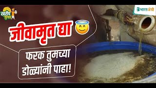 जीवामृत - एक सर्वोत्तम सेंद्रिय खत | जीवामृत कसे तयार करावे | jeevamrut preparation in marathi