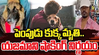 పెంపుడు కుక్క మృ_తి..|  Latest Updates | Telugu Latest News | Dog Lovers | SumanTV Media