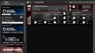 Heavyocity EVOLVE Mutations 1 and 2 review