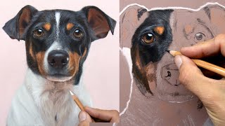 Pet portraits -  Drawing a dog fur - Step-By-Step Pastel Pencil Tutorial