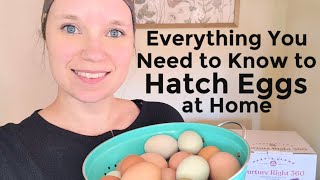 Hatch Eggs at Home | Nurture Right 360 Setup